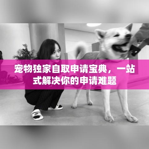 寵物獨(dú)家自取申請(qǐng)寶典，一站式解決你的申請(qǐng)難題
