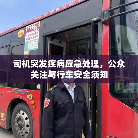 司機(jī)突發(fā)疾病應(yīng)急處理，公眾關(guān)注與行車安全須知