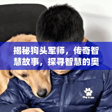 揭秘狗頭軍師，傳奇智慧故事，探尋智慧的奧秘