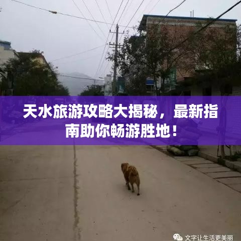 天水旅游攻略大揭秘，最新指南助你暢游勝地！