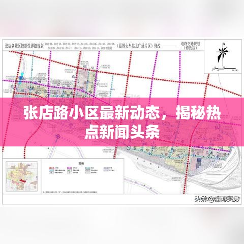 張店路小區(qū)最新動態(tài)，揭秘?zé)狳c新聞頭條