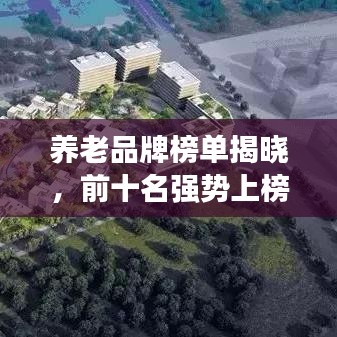 養(yǎng)老品牌榜單揭曉，前十名強(qiáng)勢(shì)上榜，不容錯(cuò)過(guò)！