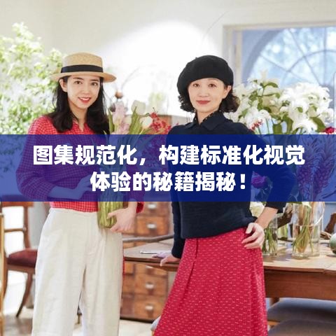 圖集規(guī)范化，構(gòu)建標(biāo)準(zhǔn)化視覺體驗(yàn)的秘籍揭秘！