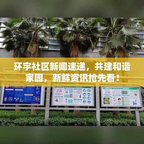 環(huán)宇社區(qū)新聞速遞，共建和諧家園，新鮮資訊搶先看！