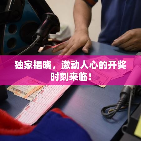 獨(dú)家揭曉，激動人心的開獎時刻來臨！