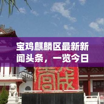 寶雞麒麟?yún)^(qū)最新新聞?lì)^條，一覽今日熱點(diǎn)事件