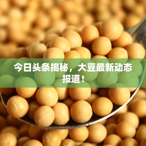 今日頭條揭秘，大豆最新動(dòng)態(tài)報(bào)道！
