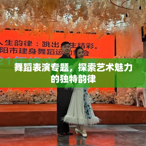 舞蹈表演專題，探索藝術(shù)魅力的獨(dú)特韻律
