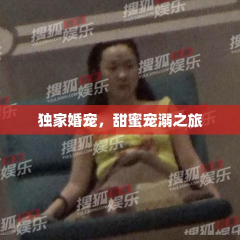 獨(dú)家婚寵，甜蜜寵溺之旅