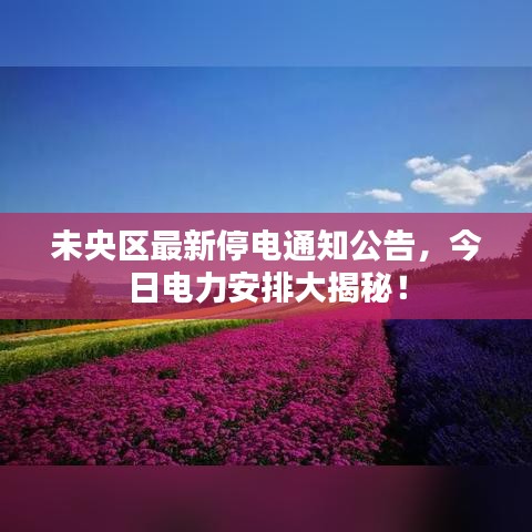 未央?yún)^(qū)最新停電通知公告，今日電力安排大揭秘！