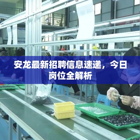 安龍最新招聘信息速遞，今日崗位全解析