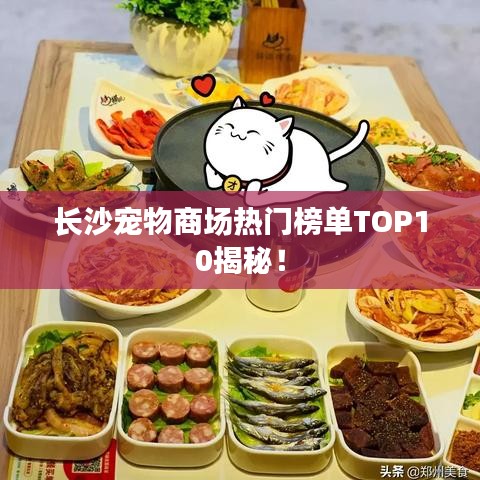 長沙寵物商場熱門榜單TOP10揭秘！