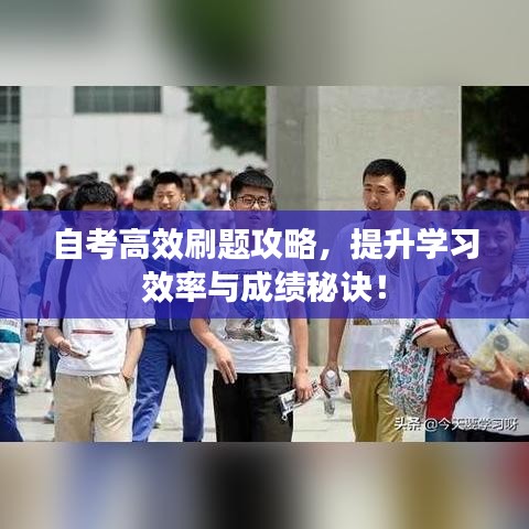 自考高效刷題攻略，提升學(xué)習(xí)效率與成績秘訣！