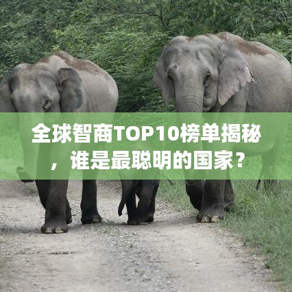 全球智商TOP10榜單揭秘，誰是最聰明的國家？