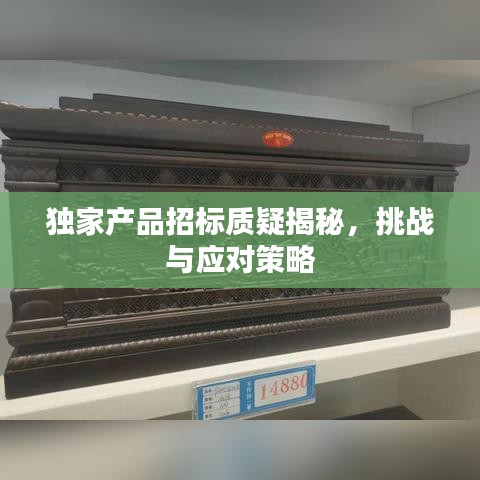 獨家產品招標質疑揭秘，挑戰(zhàn)與應對策略