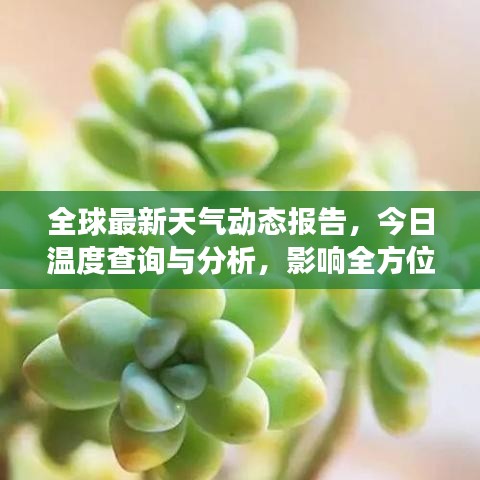 全球最新天氣動態(tài)報告，今日溫度查詢與分析，影響全方位解讀