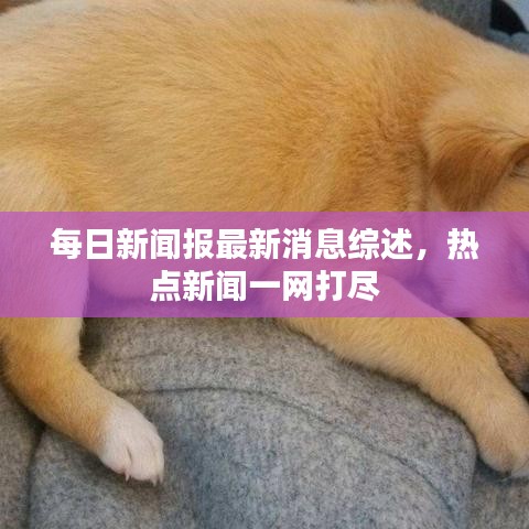 每日新聞報最新消息綜述，熱點新聞一網(wǎng)打盡
